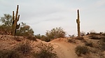 photo thumbnail #5