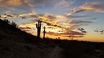 photo thumbnail #10