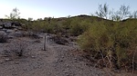 photo thumbnail #13