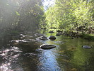 photo thumbnail #9