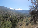 photo thumbnail #10