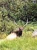 photo thumbnail #4