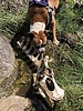 photo thumbnail #9