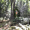 photo thumbnail #5