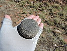 photo thumbnail #11