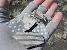 photo thumbnail #13