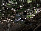 photo thumbnail #11