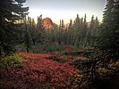 photo thumbnail #5