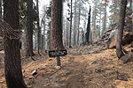 photo thumbnail #4