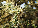 photo thumbnail #4