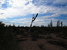 photo thumbnail #6