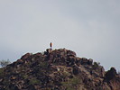 photo thumbnail #7