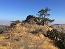 photo thumbnail #6