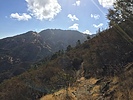 photo thumbnail #11