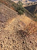 photo thumbnail #14