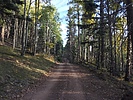 photo thumbnail #3