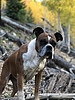 photo thumbnail #3