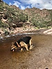 photo thumbnail #1