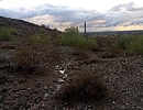 photo thumbnail #3