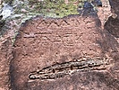 photo thumbnail #15
