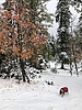 photo thumbnail #4