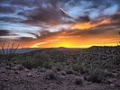 photo thumbnail #3