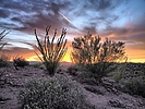 photo thumbnail #10
