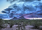 photo thumbnail #12