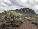 photo thumbnail #1