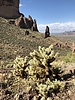 photo thumbnail #6