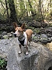 photo thumbnail #4