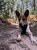 photo thumbnail #10