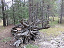 photo thumbnail #3