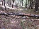 photo thumbnail #6