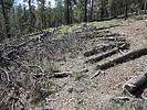 photo thumbnail #9