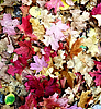 photo thumbnail #10