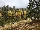 photo thumbnail #3