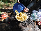 photo thumbnail #9