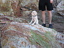 photo thumbnail #6