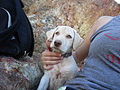 photo thumbnail #9