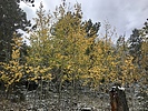 photo thumbnail #8