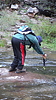 photo thumbnail #10