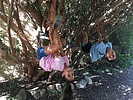 photo thumbnail #2