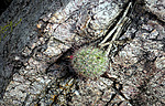 photo thumbnail #4