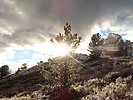 photo thumbnail #8