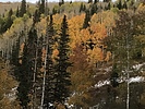 photo thumbnail #12