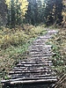 photo thumbnail #14