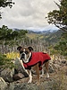 photo thumbnail #3