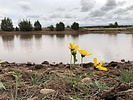 photo thumbnail #2