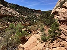 photo thumbnail #1